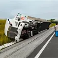 Vuelca tráiler que transportaba ganado 