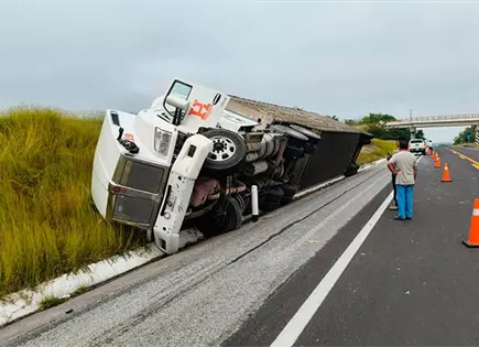 Vuelca tráiler que transportaba ganado 