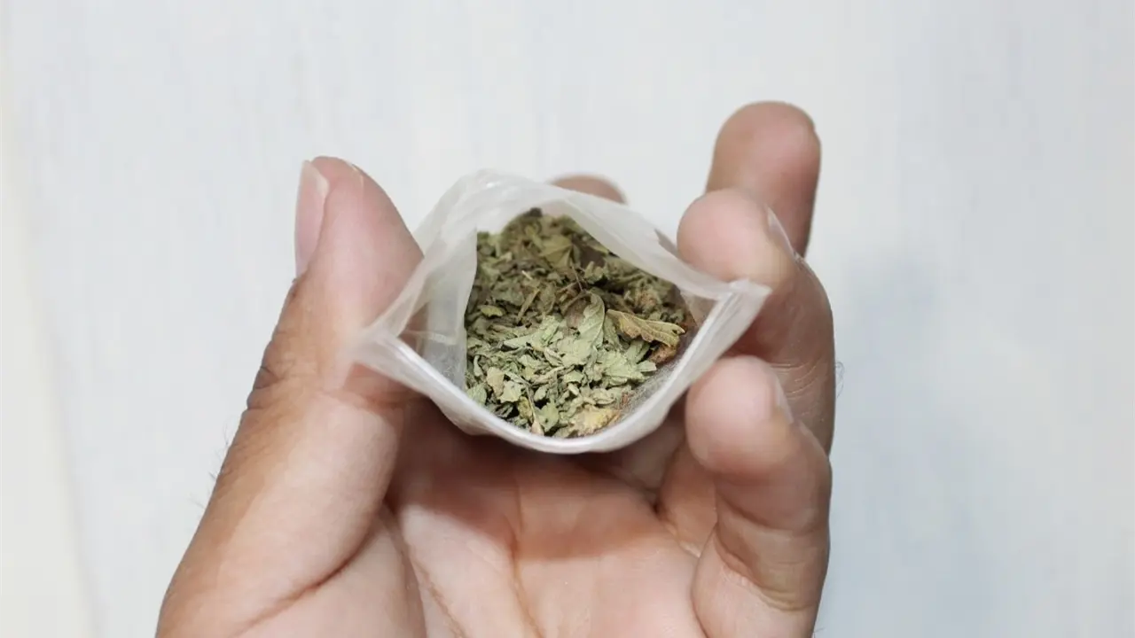 Foto: Omar Hernández / Pulso