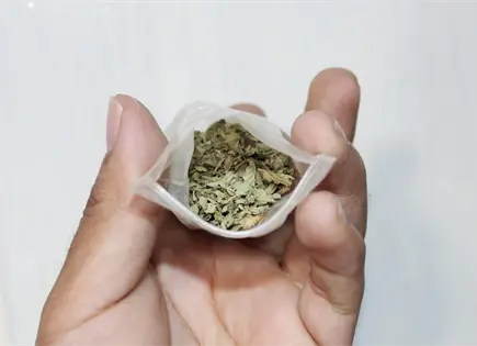 Alertan por casos de consumo de marihuana desde los 13 años Alertan por casos de consumo de marihuana desde los 13 años