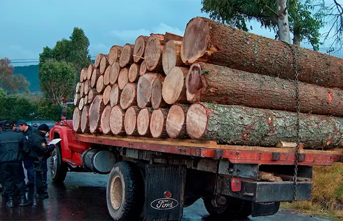 Diputados aprueban endurecer castigo contra delitos ambientales