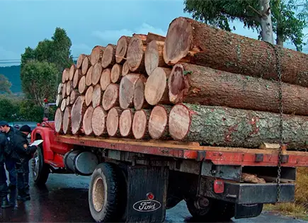 Diputados aprueban endurecer castigo contra delitos ambientales
