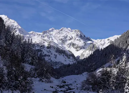 Avalancha en los Alpes Austríacos: Rescatan Esquiadores Heridos