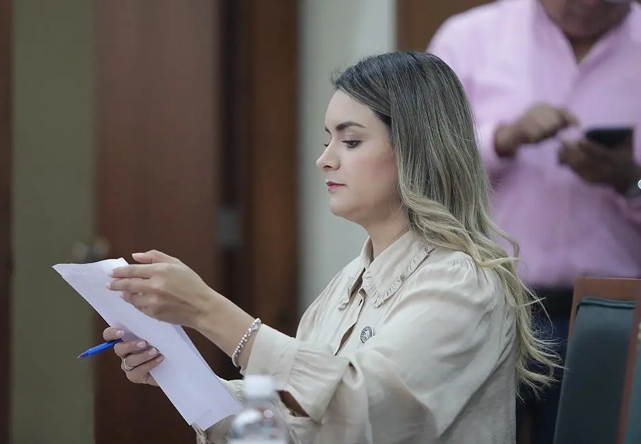 Diputada Dolores Robles Chairez