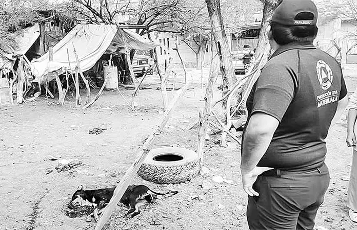 Envenenan perros en colonia Antorchista