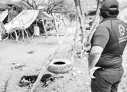 Envenenan perros en colonia Antorchista Envenenan perros en colonia Antorchista