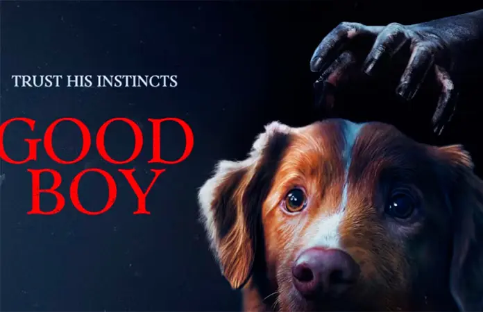 Indy, el perrito de Good Boy, nominado en Astra Film Awards 2026