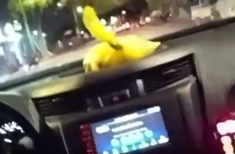 Foto: captura de pantalla