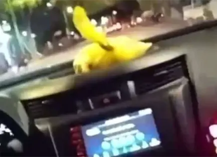 Denuncian abuso de policías de Cárdenas; hay un baleado