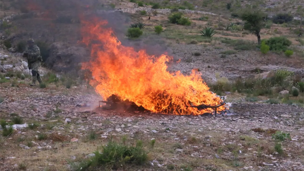 Incineran más de 93 kilos de droga en San Luis Potosí