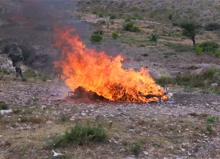 Incineran más de 93 kilos de droga en San Luis Potosí