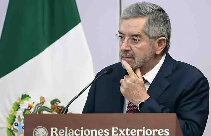 Canciller pide licencia temporal por operación
