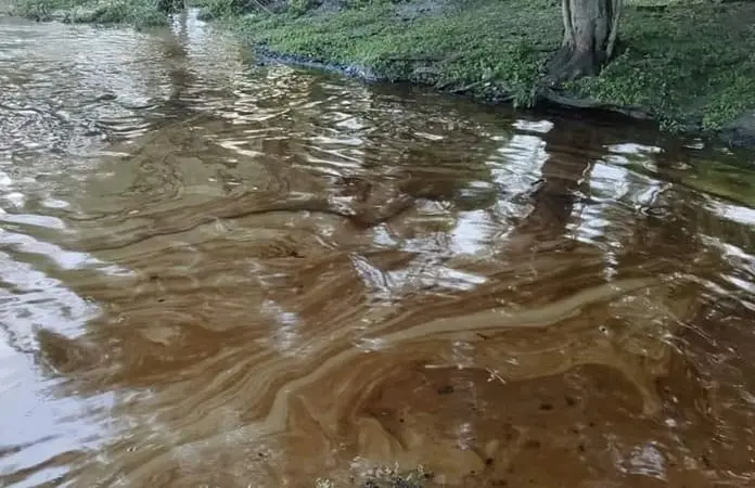 Derrame de crudo afecta al río Cazones