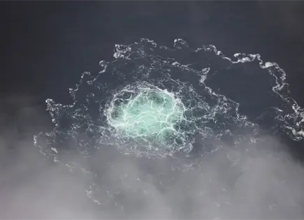 Detienen al ucraniano Serhii Kuznietsov por explosiones en gasoductos Nord Stream