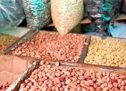 Caída de precios del frijol afecta a productores en México Caída de precios del frijol afecta a productores en México