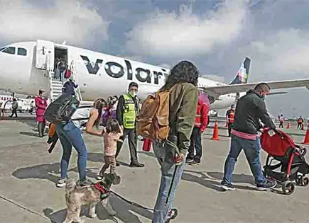 Volaris y Viva alertan de afectaciones