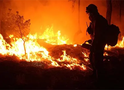 Narco provocó devastadora ola de incendios