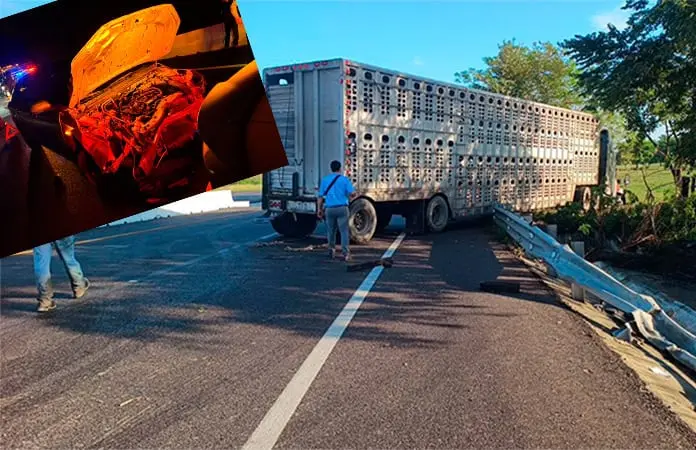 Tráiler para traslado de ganado choca contra auto