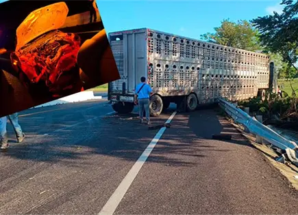 Tráiler para traslado de ganado choca contra auto