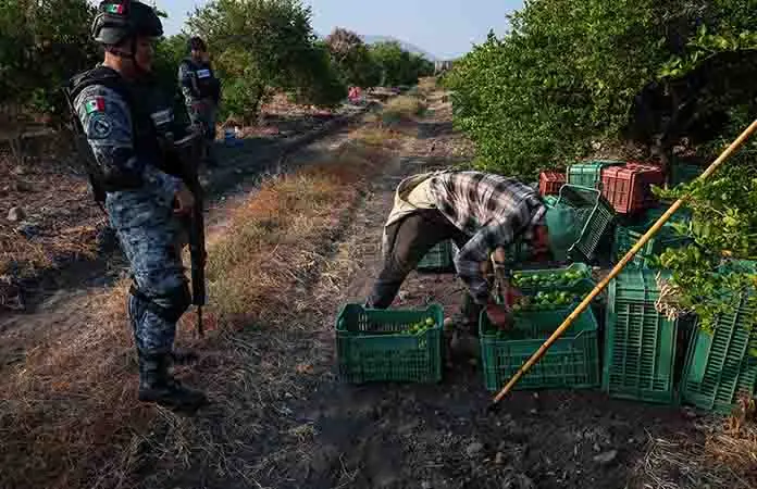 Blinda Ejército a la ruta del limón