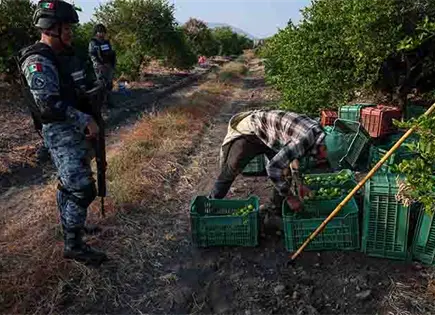 Blinda Ejército a la ruta del limón