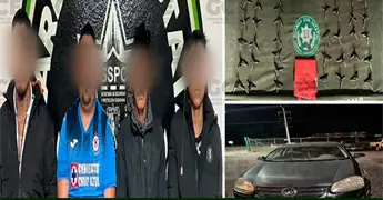 Atrapan a célula de "halcones" en Matehuala