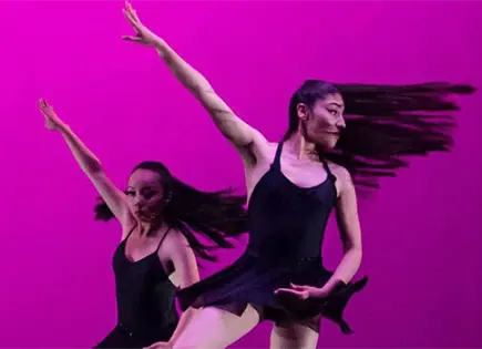 Función de Fin de Cursos del IPBA