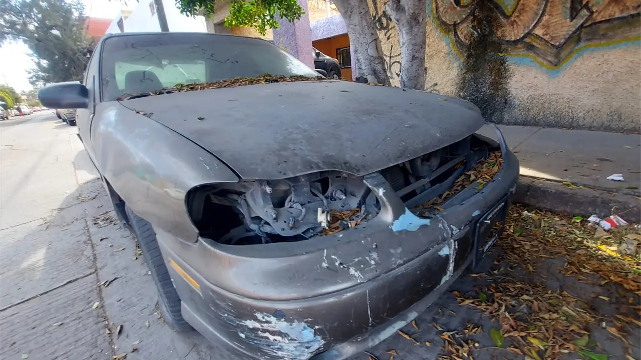 Foto: Omar Hernández/Pulso