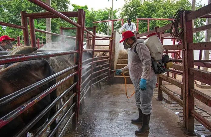 Aumentan 5.2% casos de GBG