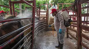 Aumentan 5.2% casos de GBG