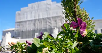 Corte Suprema de Estados Unidos respalda mapa legislativo en Texas