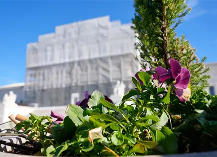 Corte Suprema de Estados Unidos respalda mapa legislativo en Texas