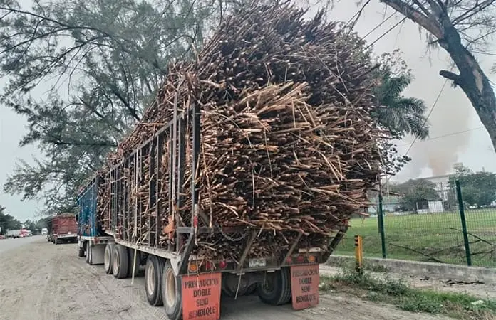 Niegan desbandada de cañeros de ULPCA