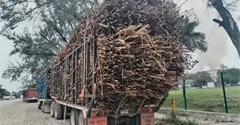 Niegan desbandada de cañeros de ULPCA