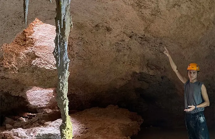 Tren Maya causó daño irreversible