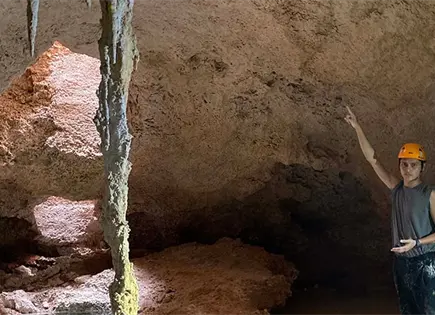 Tren Maya causó daño irreversible Tren Maya causó daño irreversible