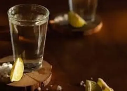 Aumentan 9.1% exportaciones de tequila a Italia Aumentan 9.1% exportaciones de tequila a Italia