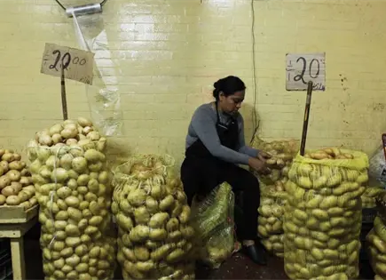 Gasolina, remesas y hasta la papa: Profeco exhibe precios altos y reconoce a los mejores