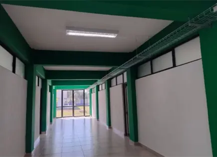 De verde pintan sede del Tec. Nacional De verde pintan sede del Tec. Nacional