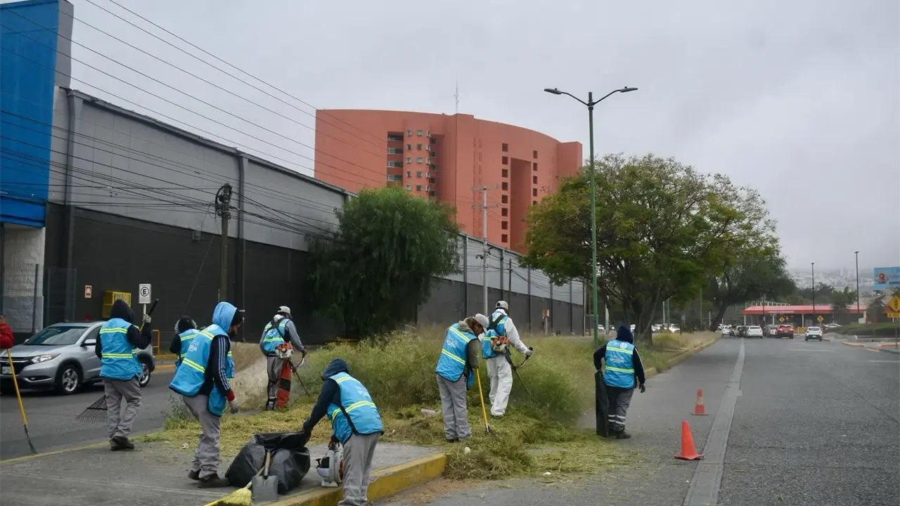 Trabajan en deshierbe y poda en avenida Chapultepec