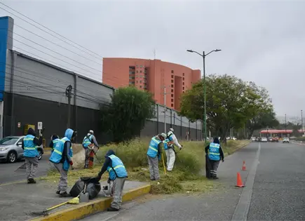 Trabajan en deshierbe y poda en avenida Chapultepec