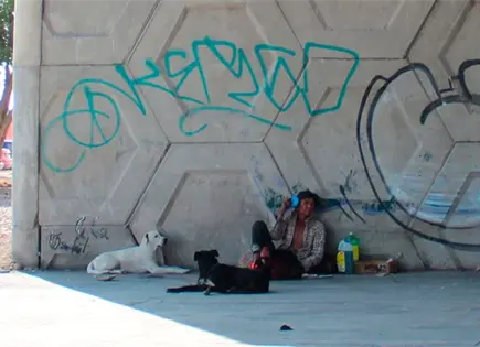 Atienden en albergue del DIF a 16 personas