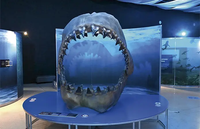 Noche Astronómica en el Laberinto