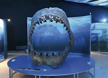 Noche Astronómica en el Laberinto Noche Astronómica en el Laberinto