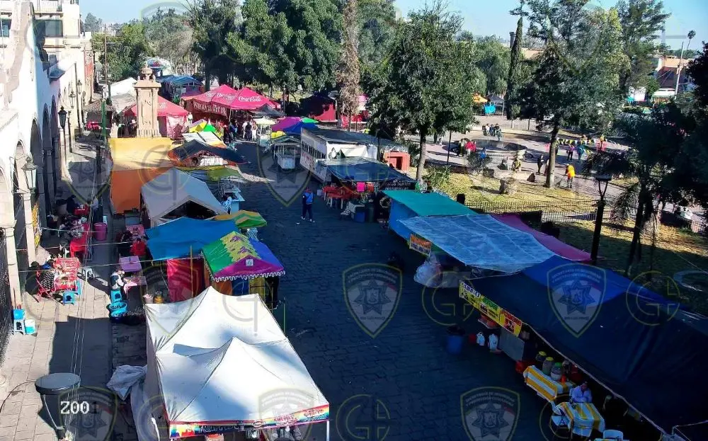 Operativo Guadalupano, con reporte preliminar en saldo blanco