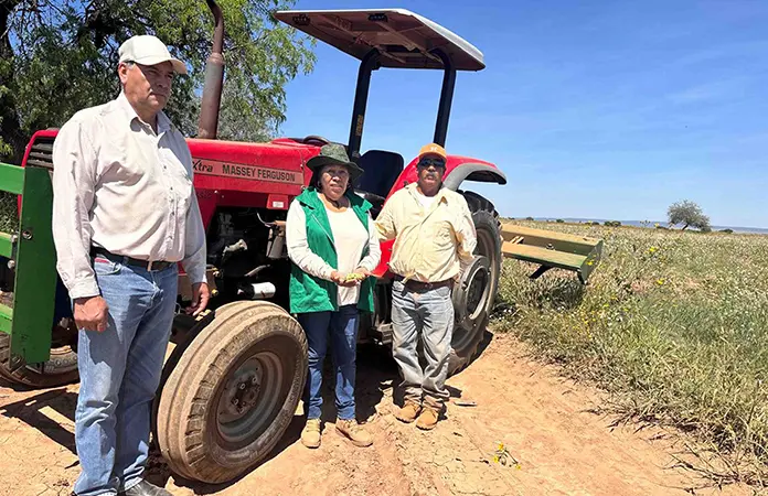 Buscan reactivar cultivo del frijol