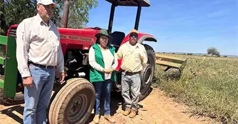 Buscan reactivar cultivo del frijol