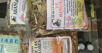 Medicina naturista, alternativa de cura