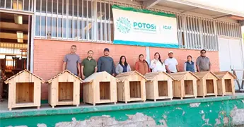 Ofrecen un curso de elaboraci&oacute;n de casitas