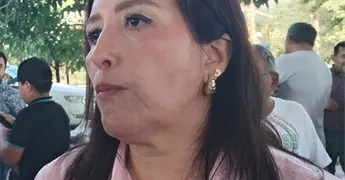 Har&aacute;n estudio para dar m&aacute;s concesiones de taxis